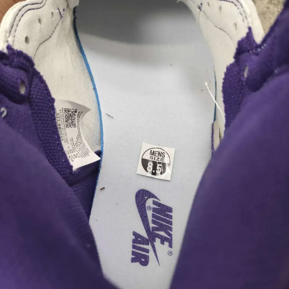 Air Jordan 1 Retro High OG White Purple 555088-115