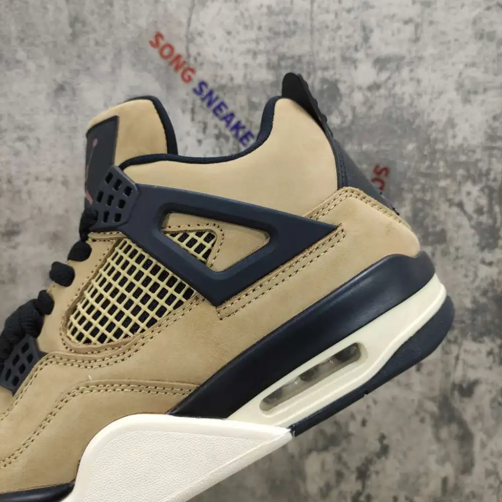 Air Jordan 4 Retro Fossil (W) AQ9129-200