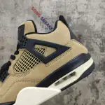 Air Jordan 4 Retro Fossil (W) AQ9129-200