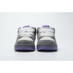 LJR Nike Dunk SB Low Purple Pigeon 304292-051 