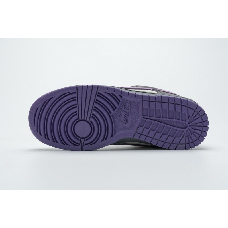 LJR Nike Dunk SB Low Purple Pigeon 304292-051 