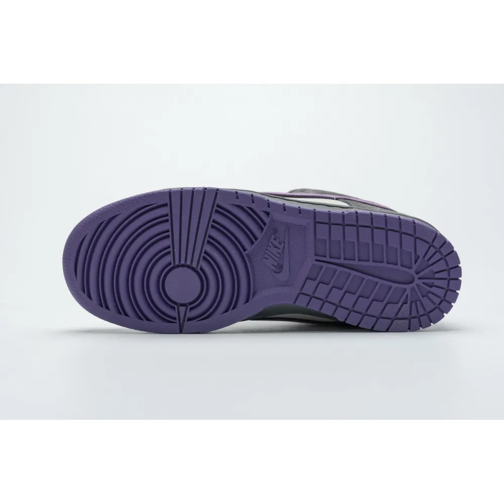 LJR Nike Dunk SB Low Purple Pigeon 304292-051 