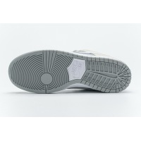 LJR Nike SB Dunk Low Summit White Wolf Grey AR0778-110