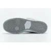 LJR Nike SB Dunk Low Summit White Wolf Grey AR0778-110