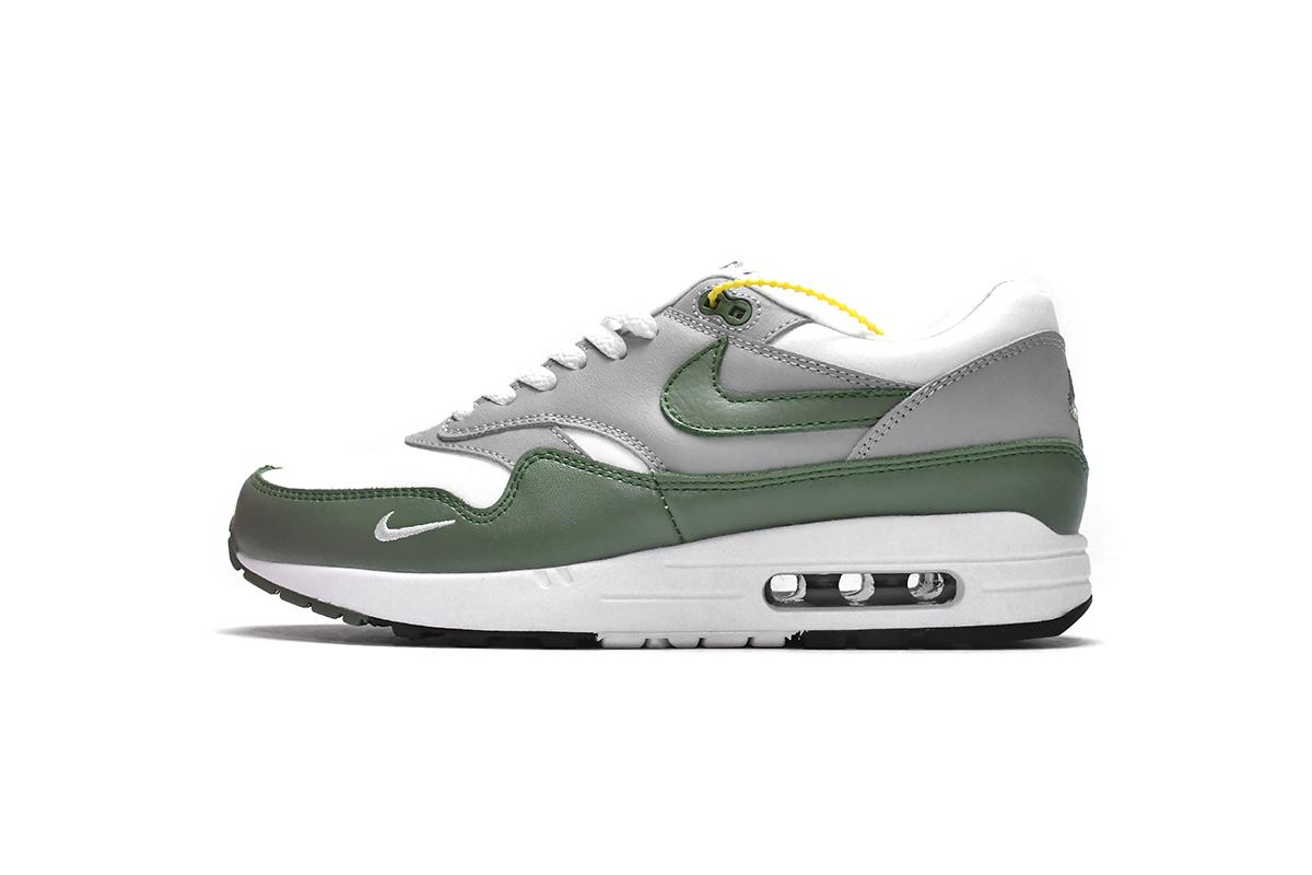 Nike Air Max 1 Premium Spiral Sage DB5074-100