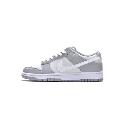Nike Dunk Low Retro Grey White DJ6188-001 01