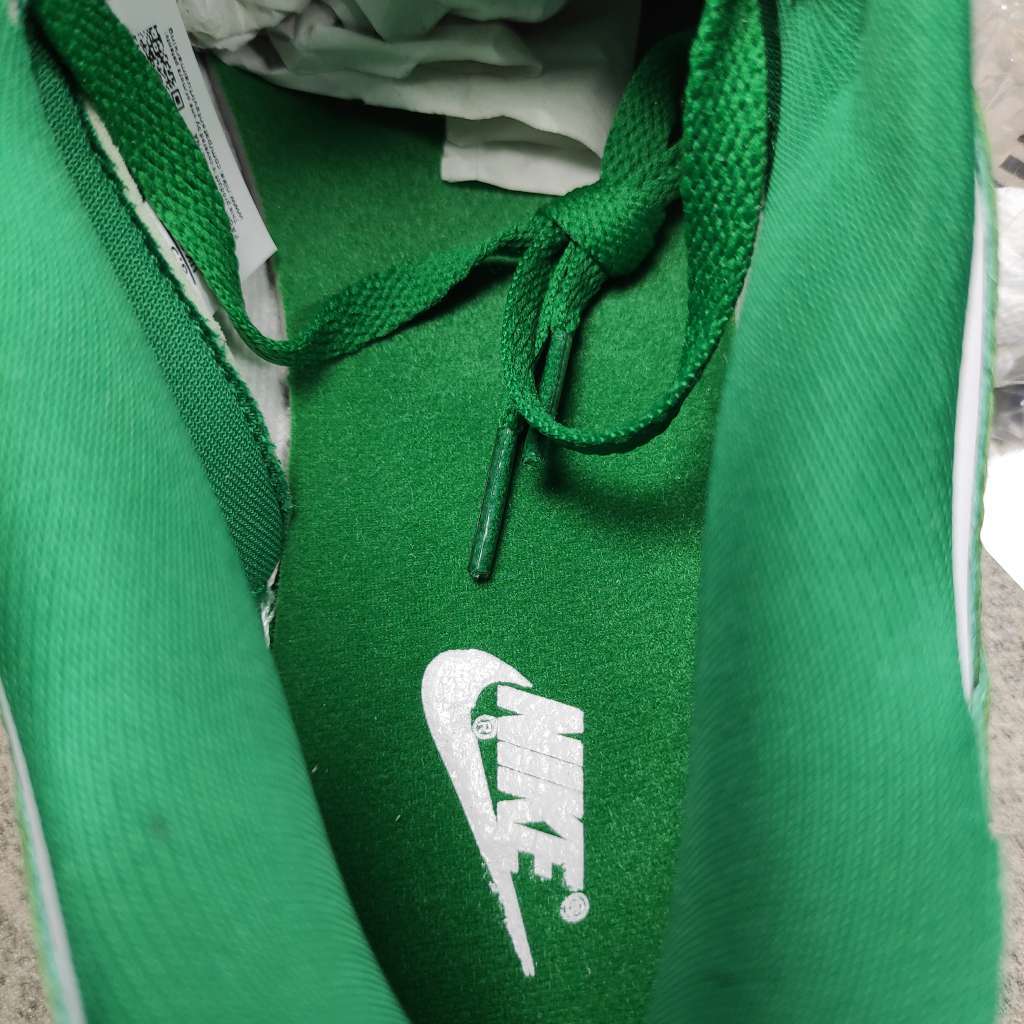 Nike Dunk Low SP White Green DD1391-300