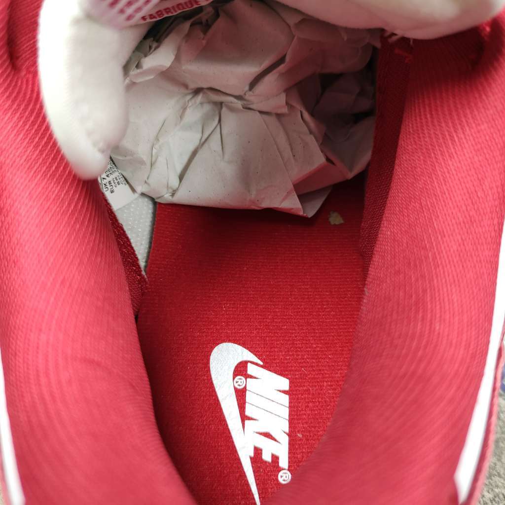 Nike Dunk Low University Red (2020) CU1727-100