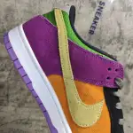 Nike Dunk Low Viotech (2019) CT5050-500
