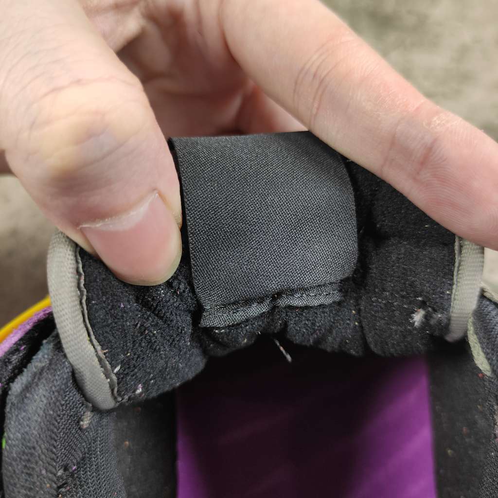 Nike Dunk Low Viotech (2019) CT5050-500