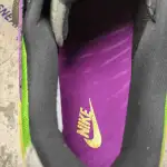 Nike Dunk Low Viotech (2019) CT5050-500