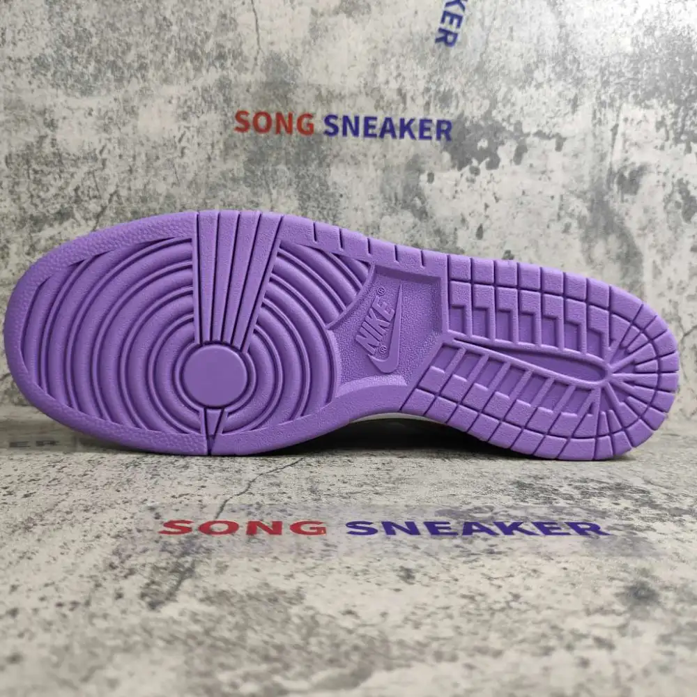 Nike Dunk Low Viotech (2019) CT5050-500
