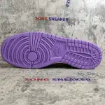 Nike Dunk Low Viotech (2019) CT5050-500