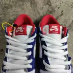 Nike Dunk SB Low Ishod Wair "BMW" 839685-416 