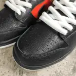 Nike Dunk SB Low Raygun 304292-803