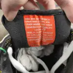 Nike Dunk SB Low Raygun 304292-803