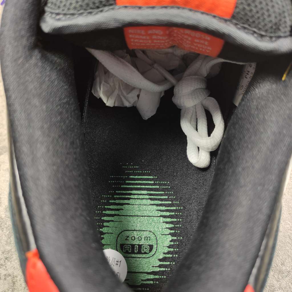 Nike Dunk SB Low Raygun 304292-803