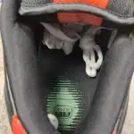Nike Dunk SB Low Raygun 304292-803