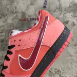 Nike Dunk SB Low Red Lobster 313170-661