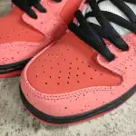 Nike Dunk SB Low Red Lobster 313170-661