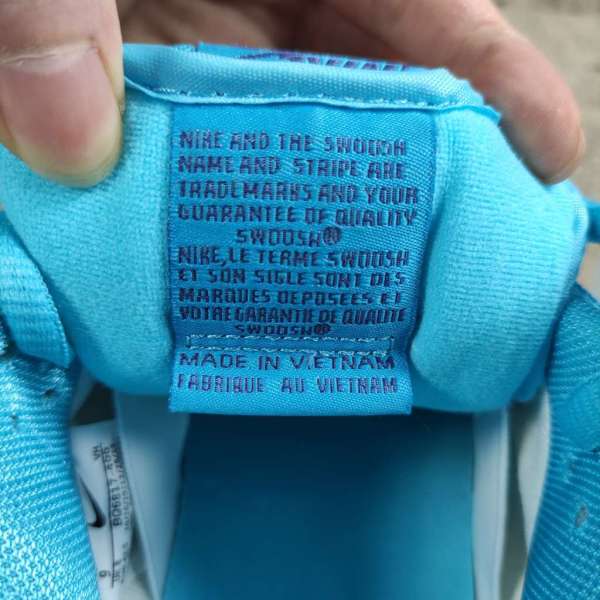 Nike SB Dunk Low Pro Blue Fury BQ6817-400 