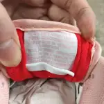 Nike SB Dunk Low PRO OG QS "Pink Pigeon" BV1310-012