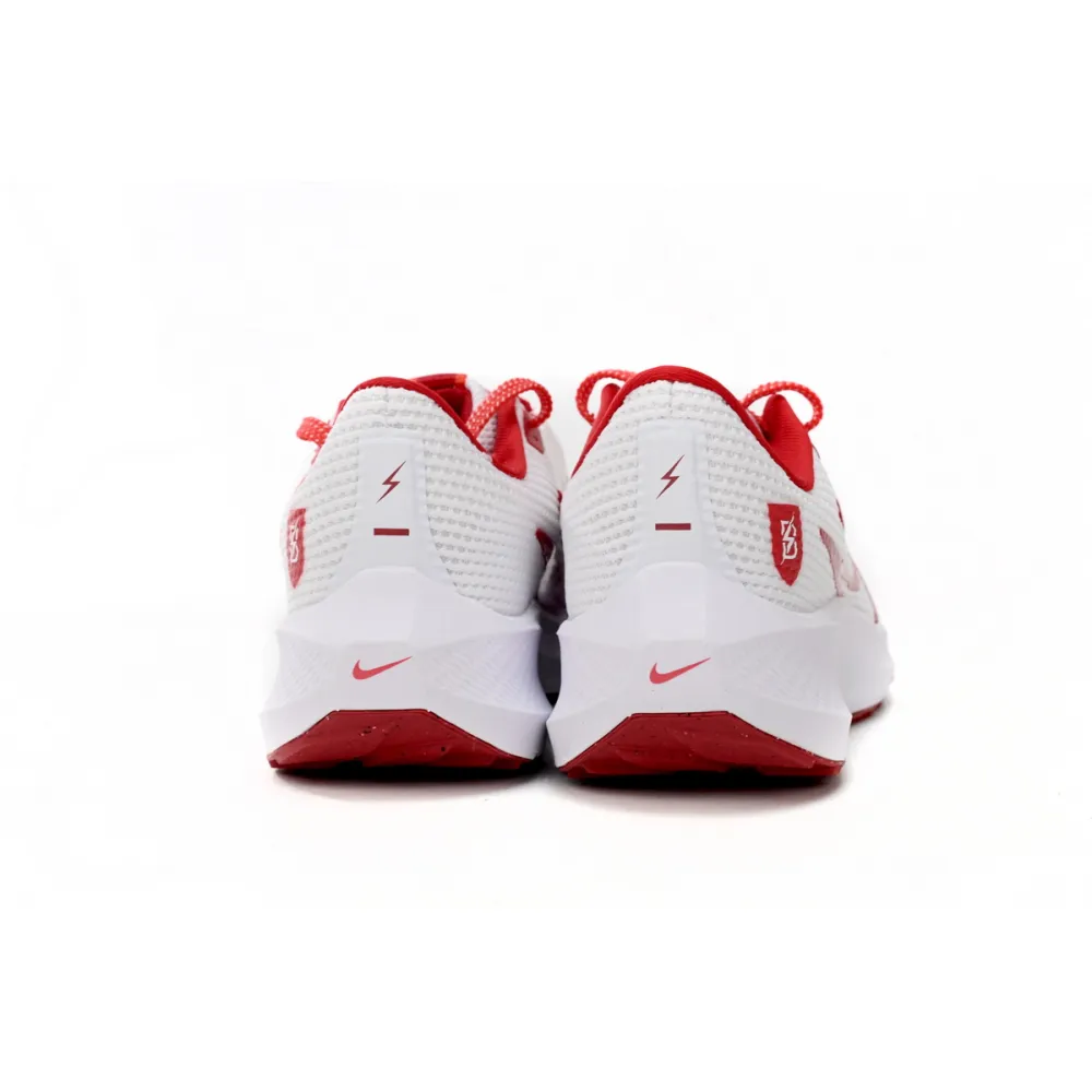 Nike Air Zoom Pegasus 40 White Red FJ2844-100