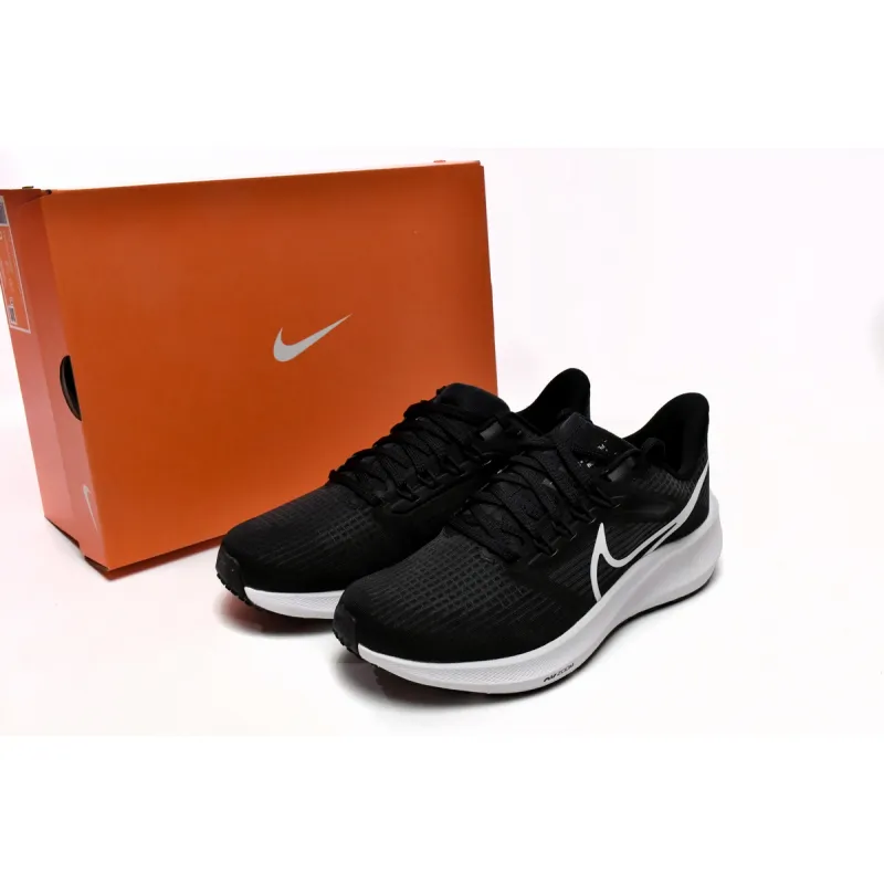 Nike Air Zoom Pegasus 39 Black Dark Smoke Grey DH4071-001