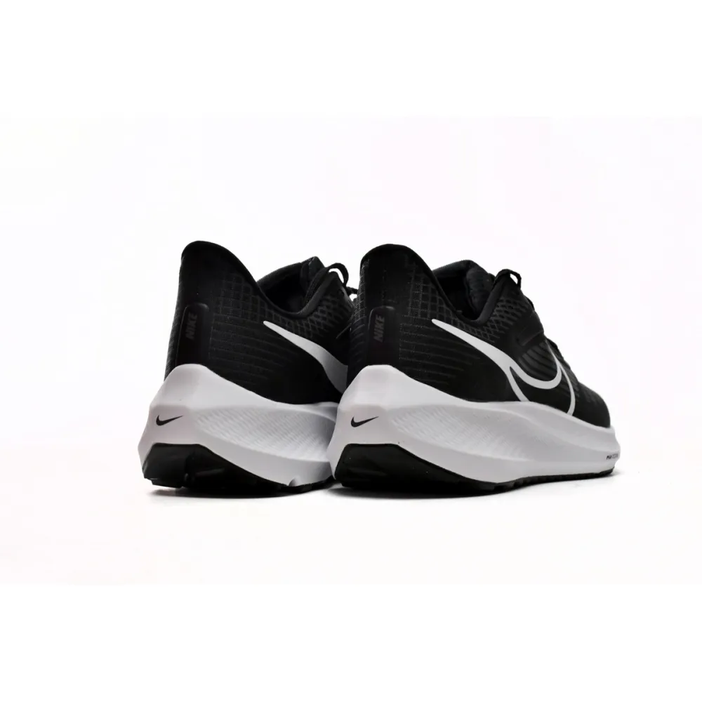 Nike Air Zoom Pegasus 39 Black Dark Smoke Grey DH4071-001