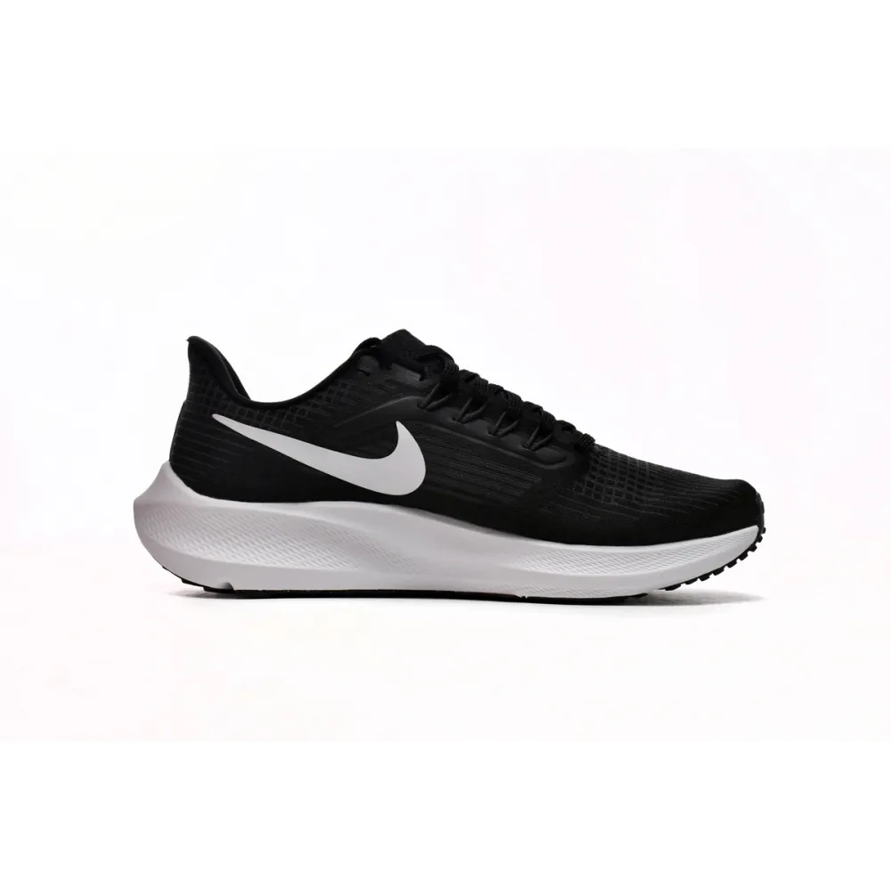 Nike Air Zoom Pegasus 39 Black Dark Smoke Grey DH4071-001