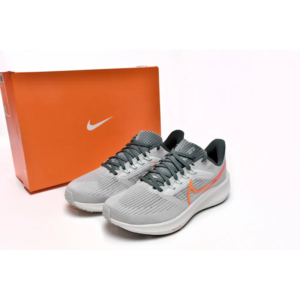 Nike Air Zoom Pegasus 39 Grey Blue Green DH4071-003