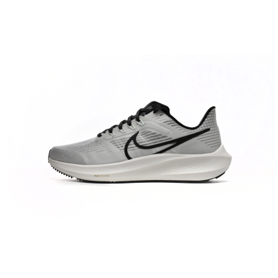 Nike Air Zoom Pegasus 39 Phantom Sail DH4071-004 01