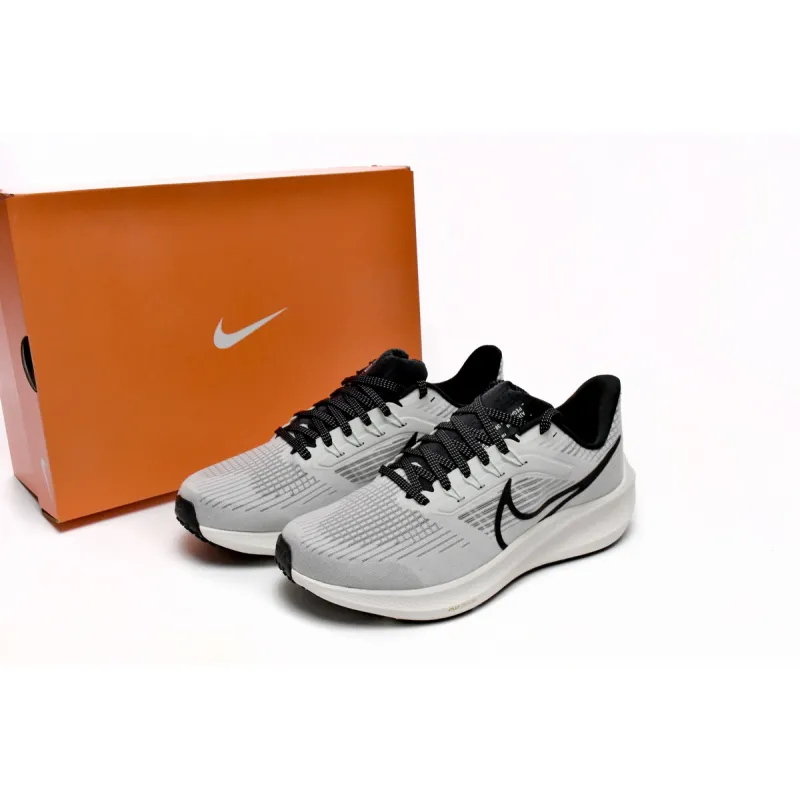 Nike Air Zoom Pegasus 39 Phantom Sail DH4071-004