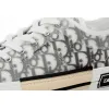 Dior B23 Low Top Logo Oblique 3SN249YJP_H069