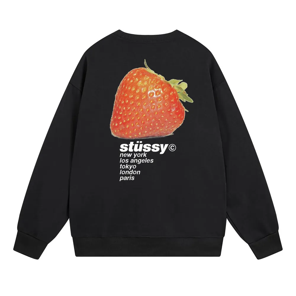 Stussy Hoodie XB533