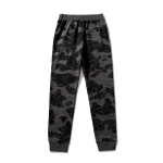 Bape（A Bathing Ape）Hoodie 6818 & Pants 8917