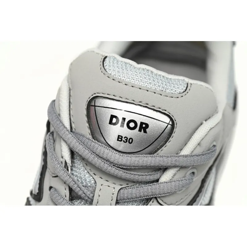 Dior B30 Gray Gray 3SN279ZRD_H868