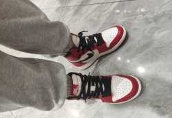 Og Tony Air Jordan 1 Retro Chicago (2015) 555088-101 review Carl Steele 02