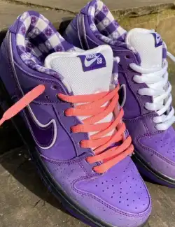 Nike SB Dunk Low Concepts Purple Lobster BV1310 555 review Parker Leacock