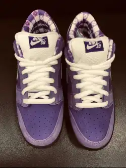 Nike SB Dunk Low Concepts Purple Lobster BV1310 555 review Frederic Stevenson 01