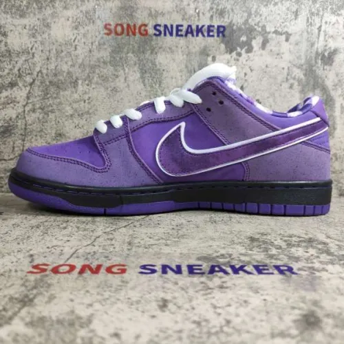 Songsneakers QC display for Nike SB Dunk Low Concepts Purple Lobster BV1310 555