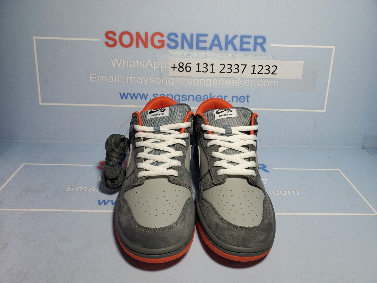 Songsneakers QC display for Nike SB Dunk Low Staple NYC Pigeon 304292-011