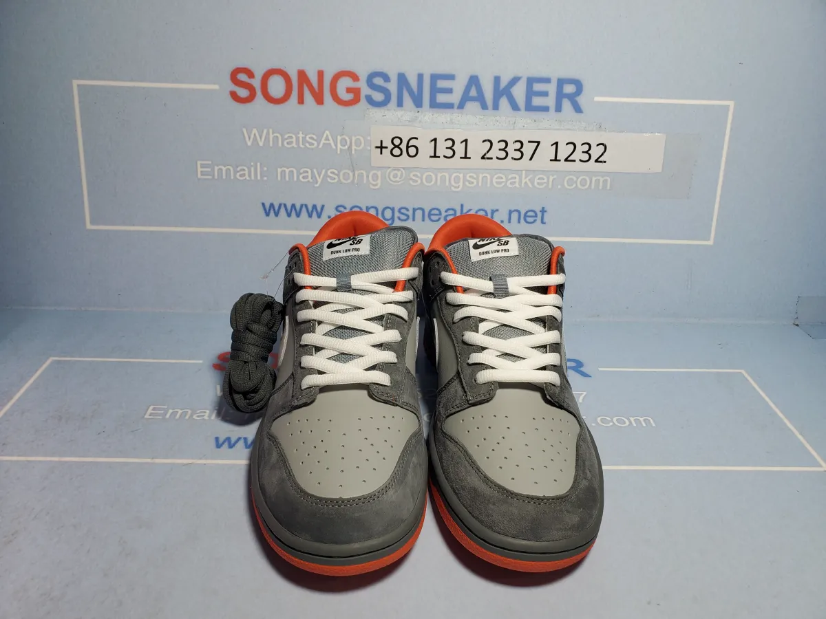 Songsneakers QC display for Nike SB Dunk Low Staple NYC Pigeon 304292-011