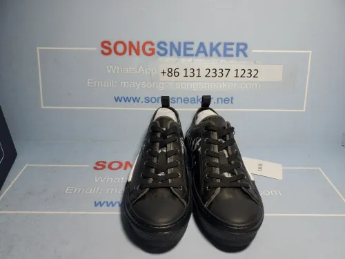 Songsneakers QC display for Dior B23 Low Top Canvas Oblique Black 3SN249YJP_H960