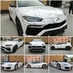 Ravoony Plus Customized Printable Car Vinyl Wrap