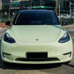 Ravoony Plus Gloss Avocado Green Car Vinyl Wrap