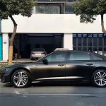 Ravoony Plus Sanding Dark Car Vinyl Wrap
