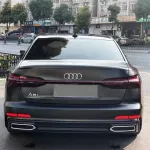 Ravoony Plus Sanding Dark Car Vinyl Wrap