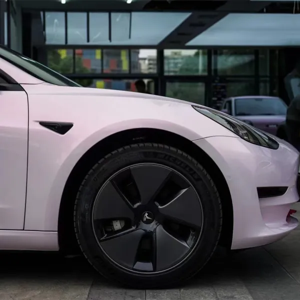 Ravoony PET Flower Pink Car Wrap