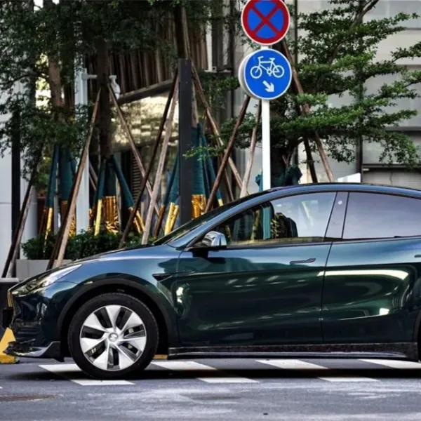 Ravoony Blackish Green Car Vinyl Wrap